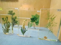 -陕西自然博物馆