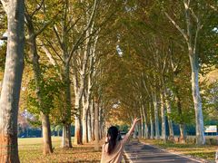 -河南省黄河迎宾馆