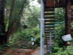 -芦仙山景区-飞越丛林探险乐园