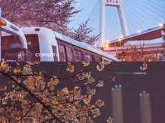-上海南浦大桥长途旅游客运站