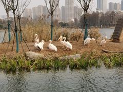 -武汉动物园