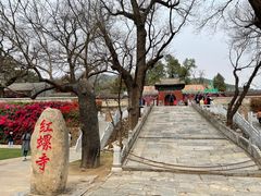 -红螺寺