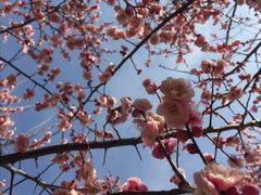 -白塘生态植物园