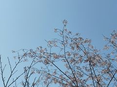 -石峰公园