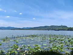 -湖畔居茶楼(湖滨店)