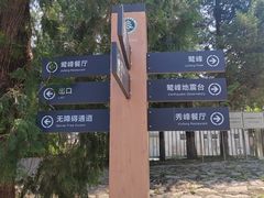 -北京鹫峰国家森林公园