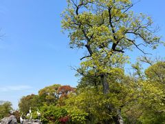 -苏州太湖国家湿地公园