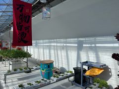 -北戴河集发农业梦想王国