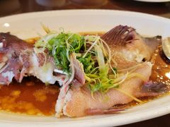 红东星斑-渔民新村(番禺总店)