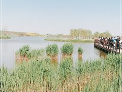 -西青郊野公园