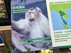 -石排湾郊野公园