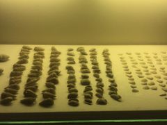 -南越王博物院(王宫展区)