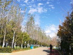 -洛龙公园