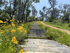 -青龙山国家森林公园