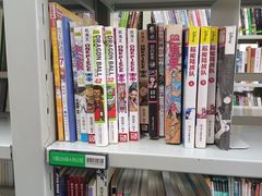 -天津图书馆(复康路馆)