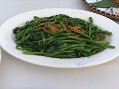 -越海渔村