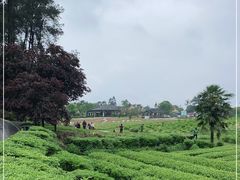 -保利石象湖景区