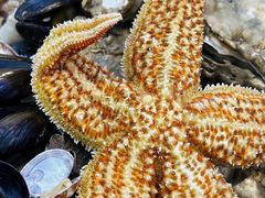 超值两人海鲜大咖-富临港·蒸汽海鲜·手抓海鲜·炒菜(栈桥店)