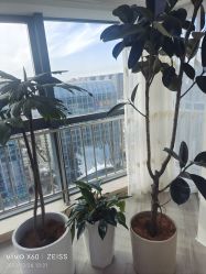 -HEYAN荷妍专业脱毛连锁机构
