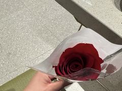 -海底捞火锅(王府井店)