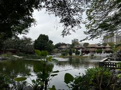-顺峰山公园