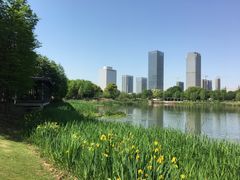 -尚贤河湿地