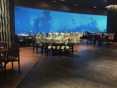 -海棠湾洲际-涛·海底餐厅·美人鱼·自助餐·海底隧道