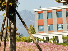 -中央民族大学