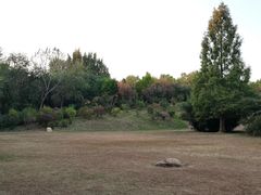 -廊坊市自然公园
