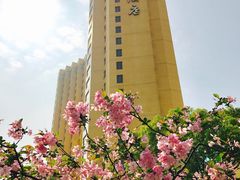 -上海神旺大酒店