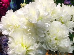 iphone_upload_pic-豆豆花艺(新光天地店)
