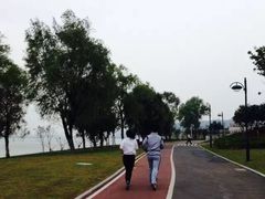 -滨江生态公园