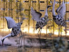 -观宴·品质赣菜(高新大道店)