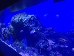 -泉城欧乐堡海洋极地世界