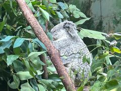 -广州长隆野生动物世界