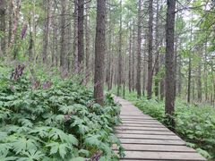 -白草畔自然风景区