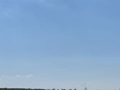 -御道口草原森林风景区