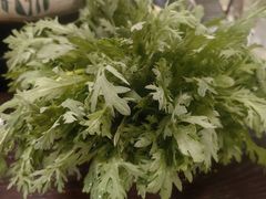 茼蒿菜-金龙·打边炉(南京西路店)