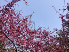 -乌山风景区