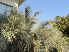 -上海虹桥迎宾馆