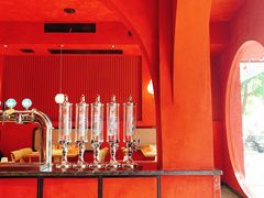 -杨氏青龙虾·羊蝎子(金盛路总店)