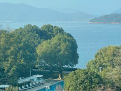 -逸廊大堂吧-下午茶·简餐-千岛湖自由洲际殿