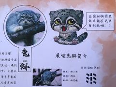 -青藏高原野生动物园