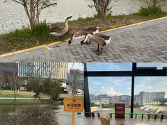 -深圳大学(丽湖校区)