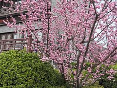 -映像威海·海鲜味道(市区店)