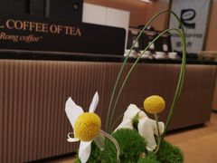 -蓉小乔·RONG COFFEE(春熙路店)