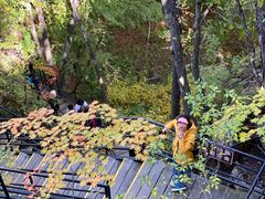 -五女峰国家森林公园