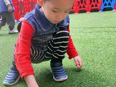 -黄浦乐烁龙鱼宝贝托育园(海潮路校区)