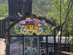 -欢乐松鼠谷