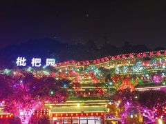 -枇杷园食为鲜火锅(南山店)